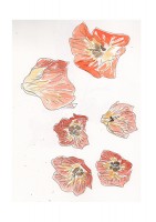 http://www.francesleeceramics.com/files/gimgs/th-53_orange flowers-web.jpg